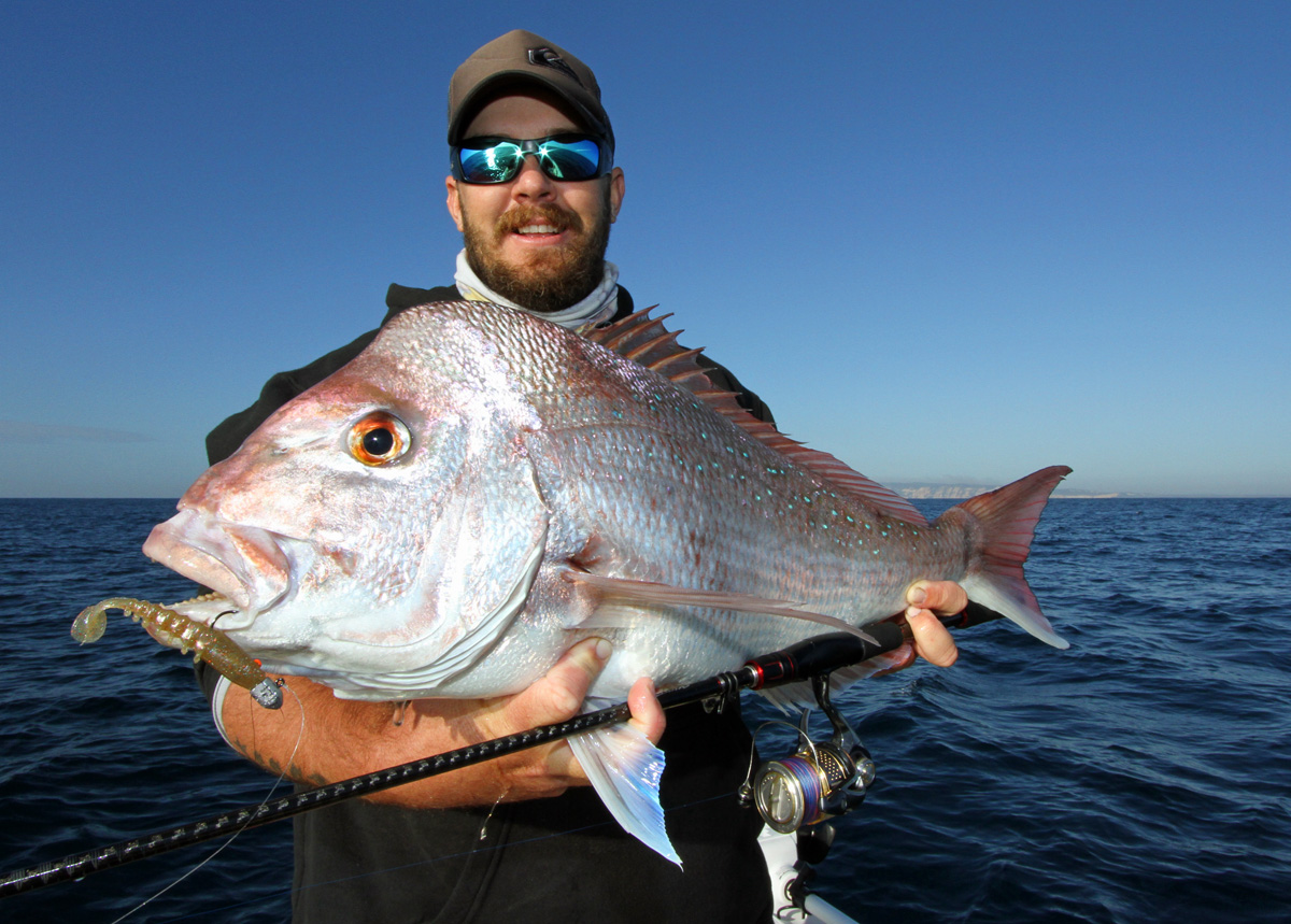 Best snapper session to date ! - Fishing With Scotto